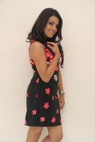 Tashu Kaushik Latest Pics